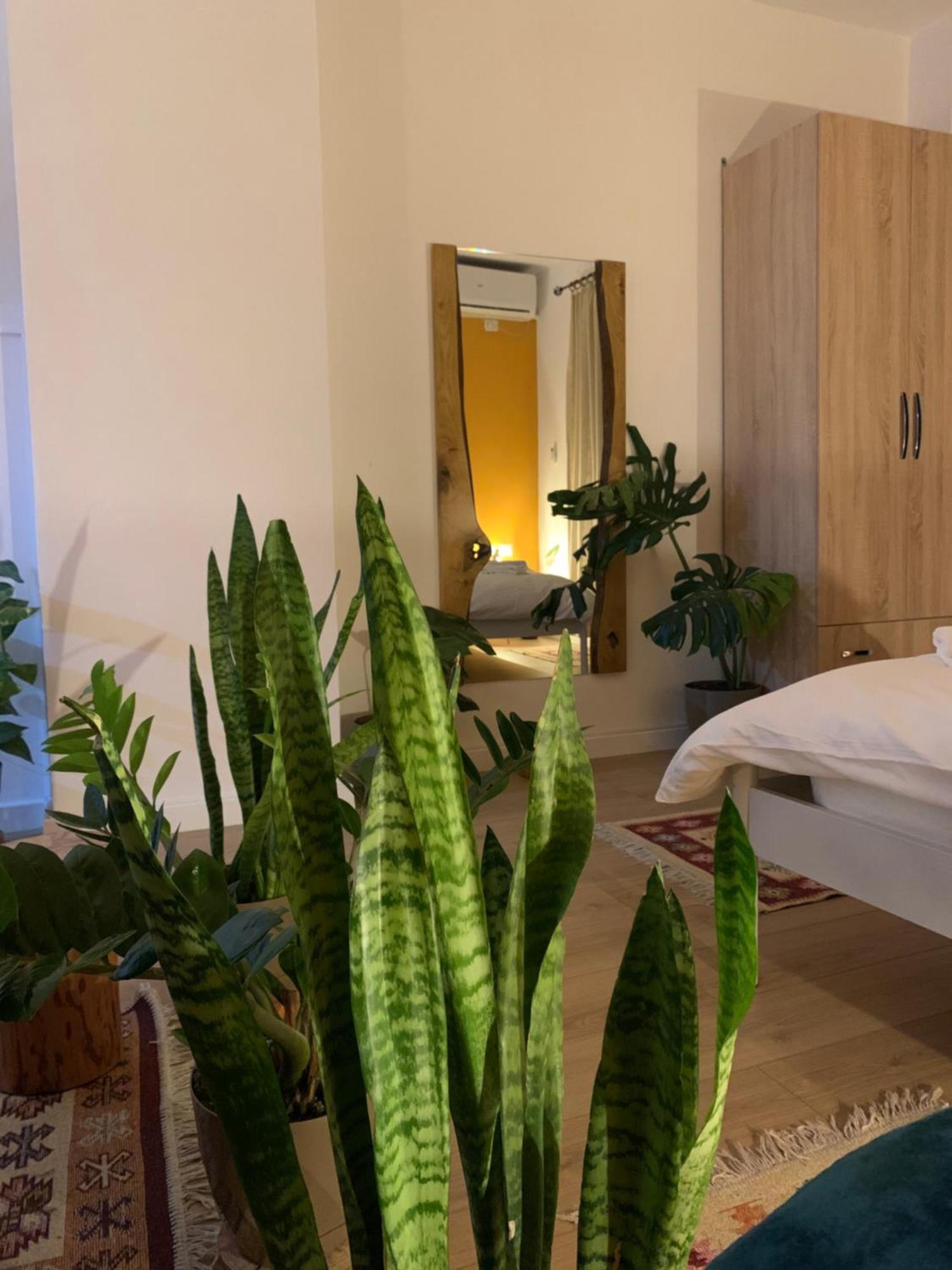Vibe Studio Apartment Tirana Extérieur photo